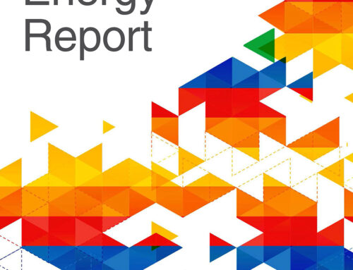 BRICS Energy Report 2020