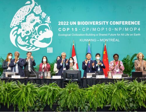 BRICS YEA observed the UN Biodiversity Conference (COP15) in Montreal